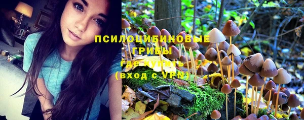 трава Пестово