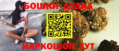 дурь Гай