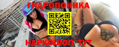 прущие крисы Гагарин