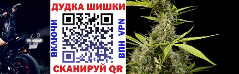 Конопля сатива  сколько стоит  Новосибирск 